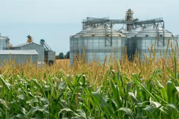 Continúa la planeación de la planta de bioetanol en Altamira, proyecto que busca impulsar la producción del sorgo en Tamaulipas Continúa la planeación de la planta de bioetanol en Altamira, proyecto que busca impulsar la producción del sorgo en Tamaulipas