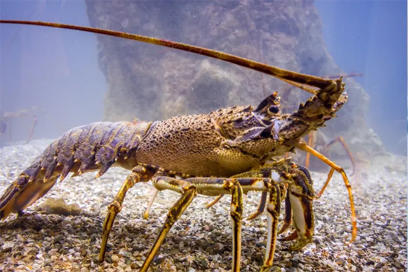 imagen recuadro Foto: Biblioteca Canva