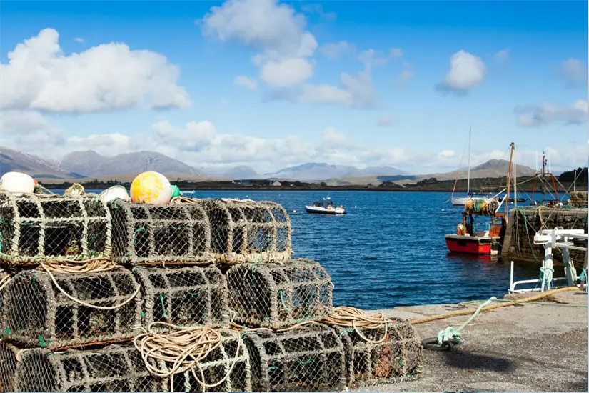 imagen recuadro Foto: Biblioteca Canva