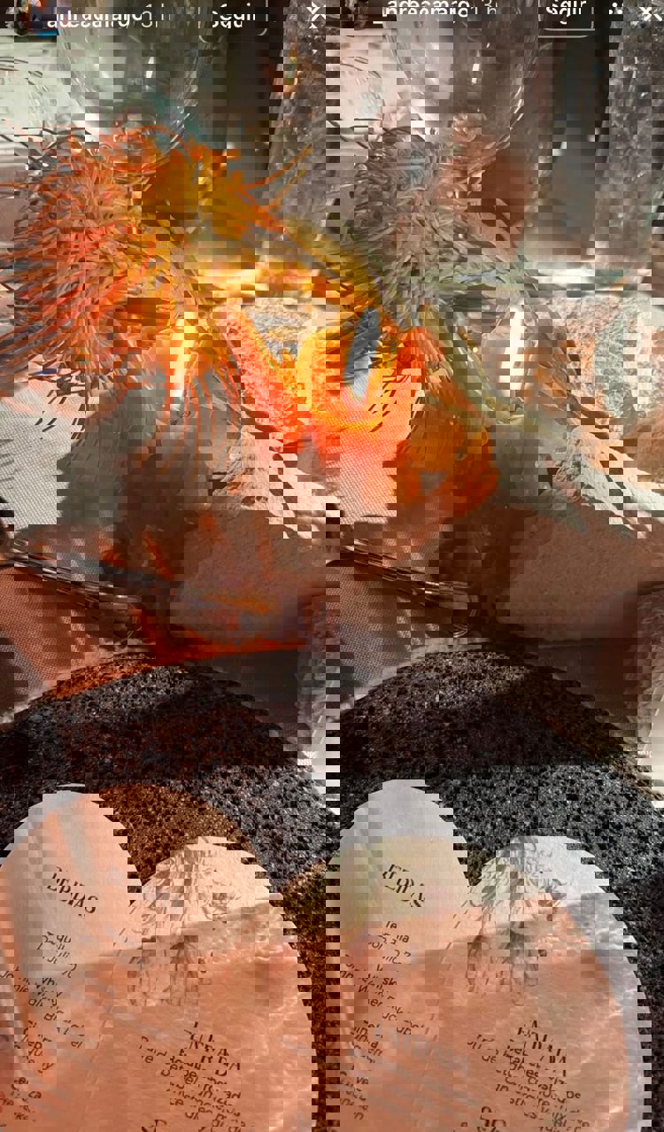 imagen-cuerpo imagen-cuerpo