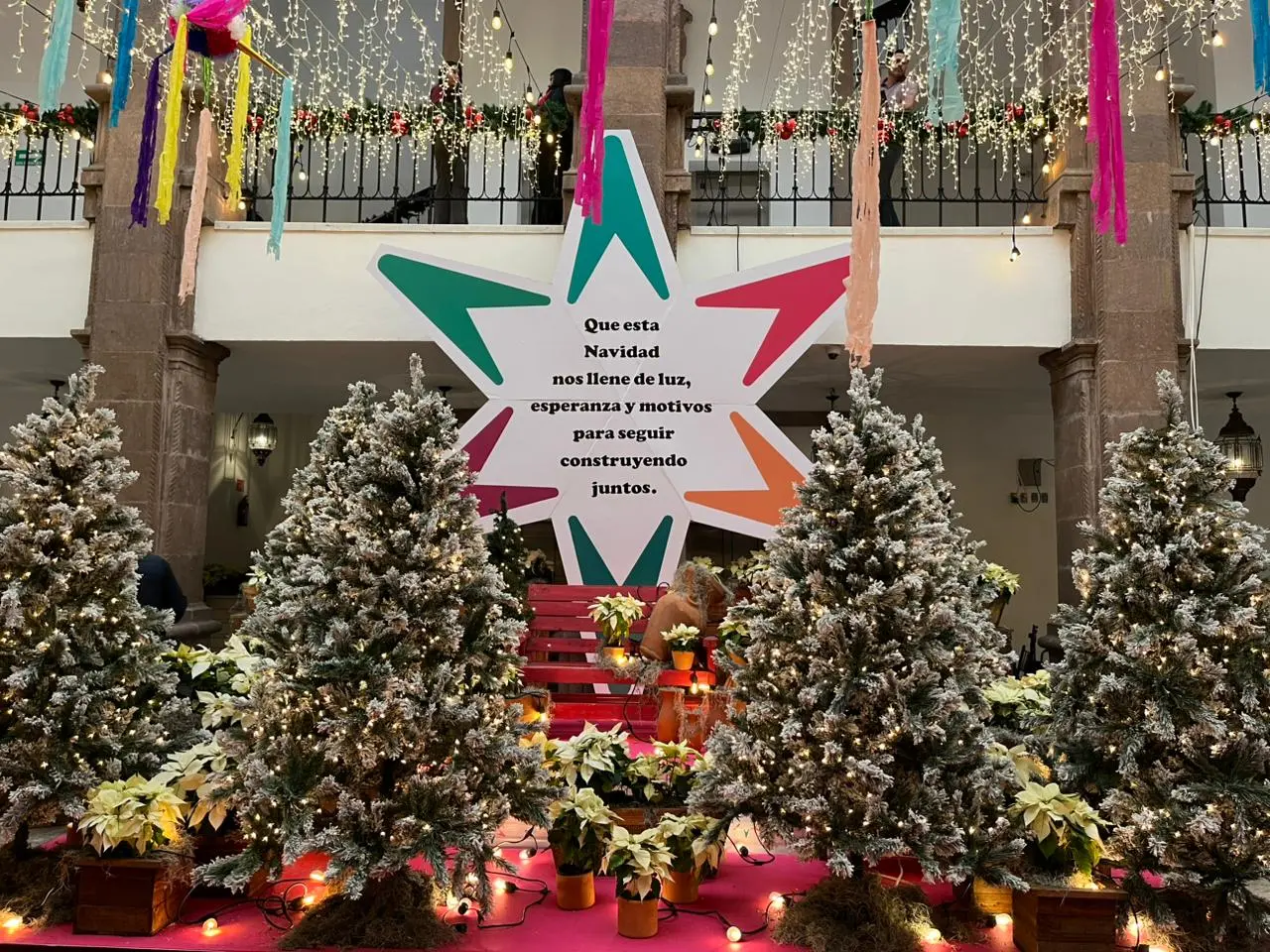 Exhibición de pinos navideños en el Palacio de Gobierno de Saltillo. (Leslie Delgado)