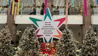 Navidad 2025 en Saltillo arranca con la exhibición de pinos decorados