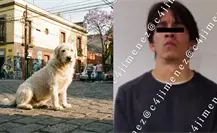 Joven es señalado en CDMX por presuntamente apuñalar a un perro luego de que el animal le ladrara Joven es señalado en CDMX por presuntamente apuñalar a un perro luego de que el animal le ladrara