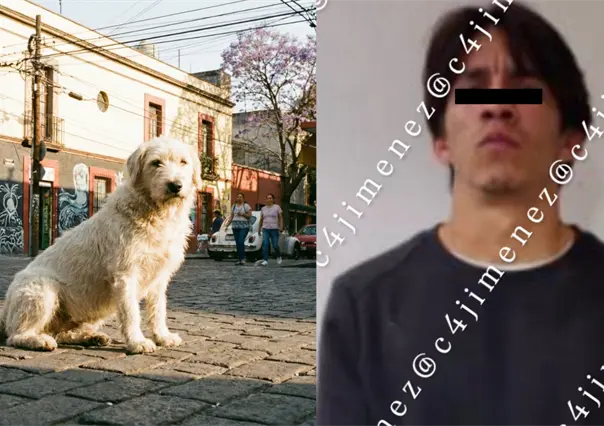 Joven es señalado en CDMX por presuntamente apuñalar a un perro luego de que el animal le ladrara