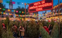 ¿Dónde comprar árboles de Navidad naturales cerca de CDMX? Guía de los mejores lugares para esta temporada