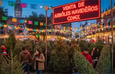 ¿Dónde comprar árboles de Navidad naturales cerca de CDMX? Guía de los mejores lugares para esta temporada