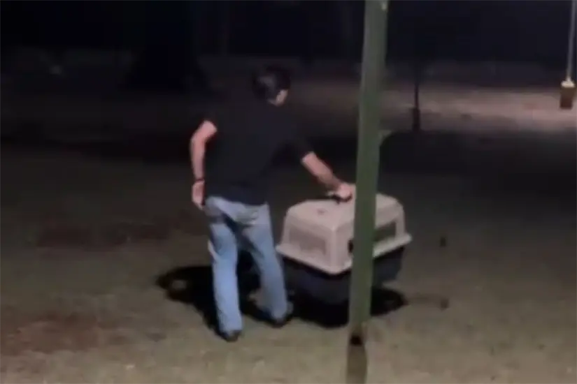 La Guardia Forestal iniciaron un rondín en la zona. Foto: PYVSNL