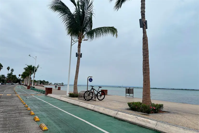 Foto: Héctor Romero.