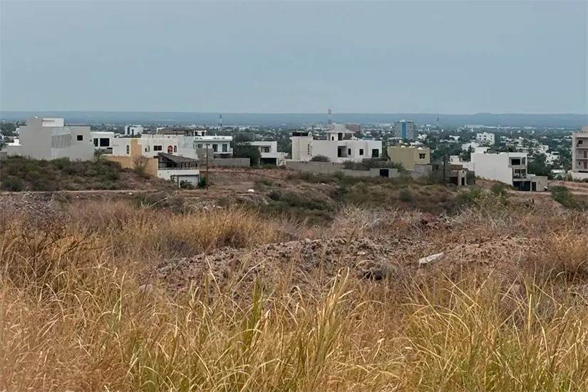 Foto: Héctor Romero.