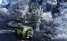 Frente frío 17 se extiende sobre territorio mexicano y provocará heladas en estas regiones