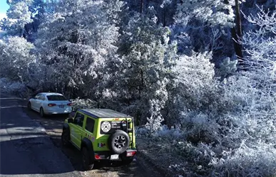Frente frío 17 se extiende sobre territorio mexicano y provocará heladas en estas regiones