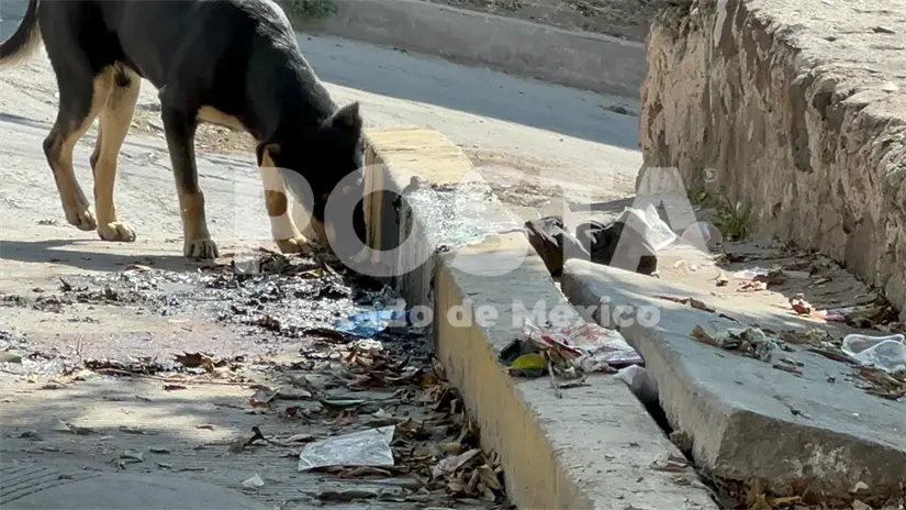 Zona en donde se calcinó un cuerpo humano en Edomex. | Foto: Juan Manuel López 
