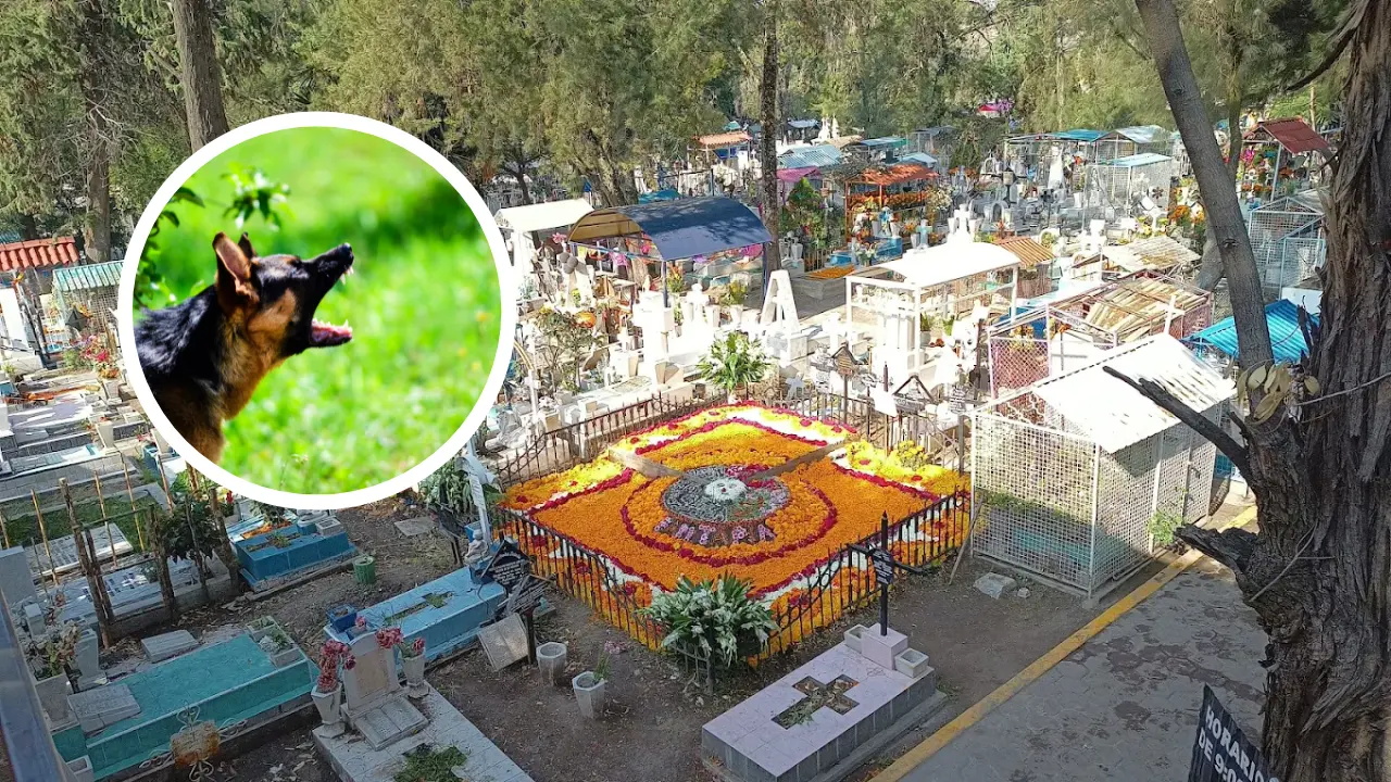 En el panteón se registró un fuerte ataque hacia una mujer de aproximadamente 54 años de edad. Foto: Maps Bernardo Cabrera | Canva