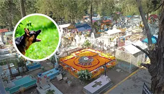 Mujer muere sobre la tumba de su hermano en panteón de la GAM y es devorada por los perros