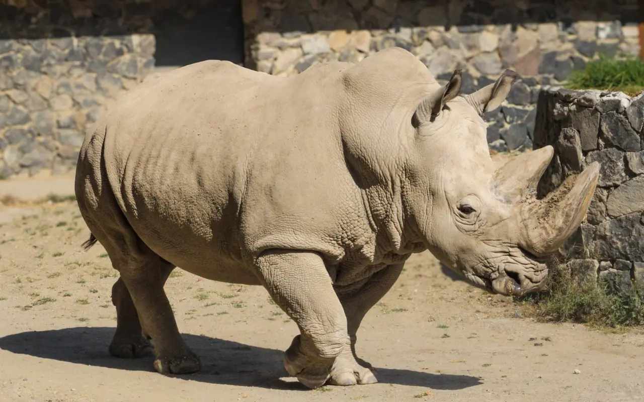 Zoológico de Zacango. Foto: FB/ Parque Ecológico Zacango (Canva)