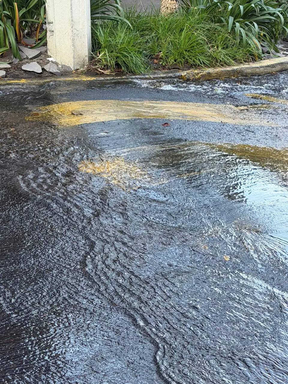 imagen recuadro Fuga de agua en CDMX. Foto: Ramón Ramírez