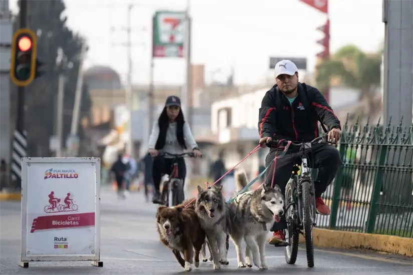 imagen recuadro La primera edición de la carrera 5K Coahuila Seguro atrajo a más de mil 400 corredores en un ambiente de confianza. Foto: Gobierno Coahuila