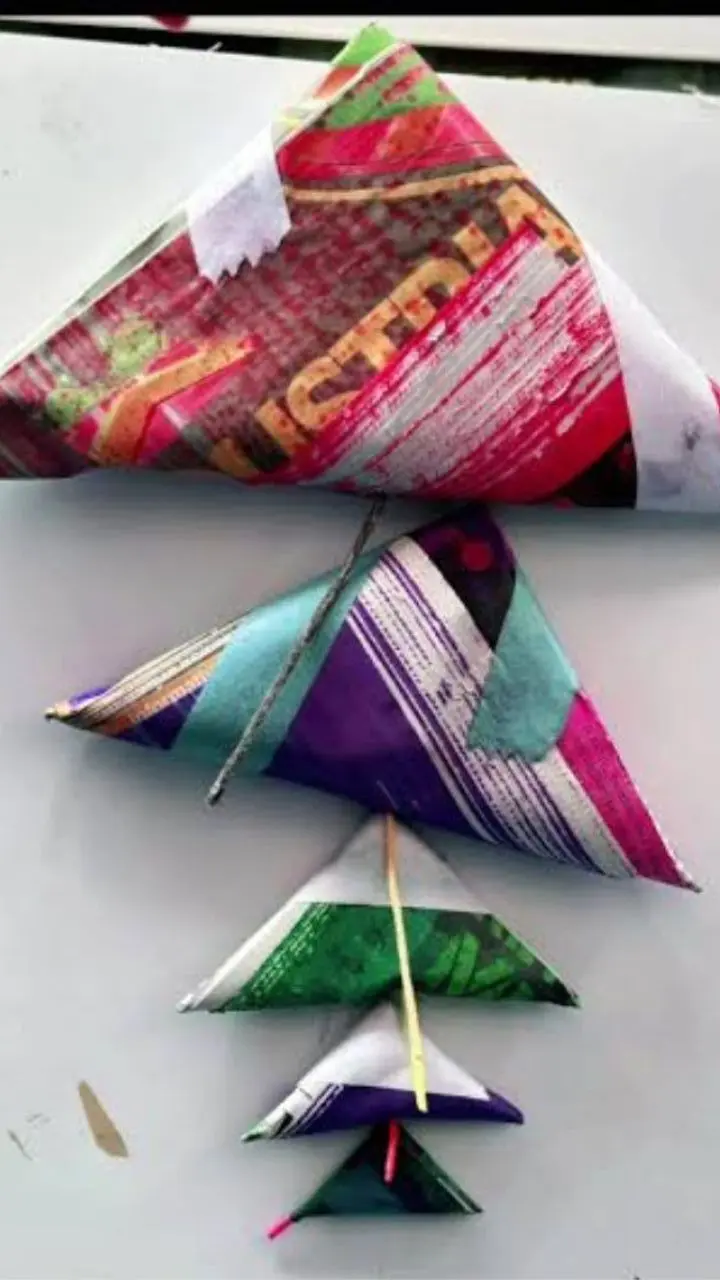 imagen recuadro Palomas prohibida en Nuevo León.