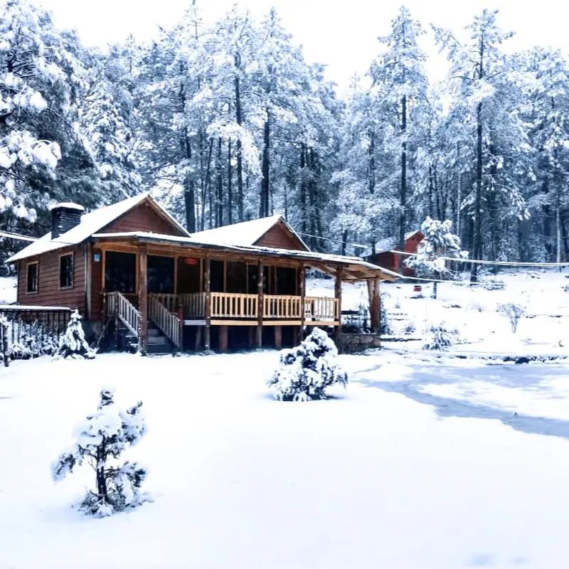 Tripadvisor recomienda estas cabañas de Durango para disfrutar el invierno al máximo