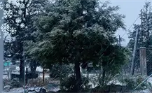 Frente Frío 17 en Durango, se pronostica agua nieve para este 2 de diciembre Frente Frío 17 en Durango, se pronostica agua nieve para este 2 de diciembre
