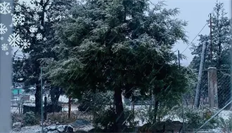 Frente Frío 17 en Durango, se pronostica agua nieve para este 2 de diciembre
