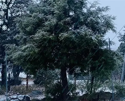 Frente Frío 17 en Durango, se pronostica agua nieve para este 2 de diciembre