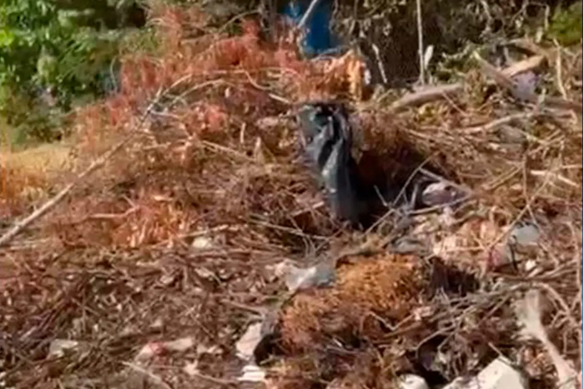 Vecinos denuncian tiradero de basura afuera de escuela primaria, convirtiéndose en un foco de infección no sólo para los escolares, también para los residentes. Foto: Rocío Casas.