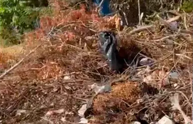 Denuncian tiradero de basura afuera de Primaria Francisco J. Múgica en La Paz