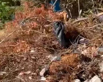 Denuncian tiradero de basura afuera de Primaria Francisco J. Múgica en La Paz