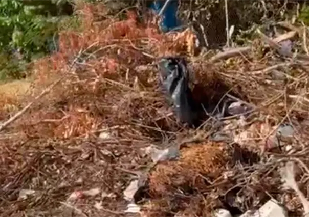 Denuncian tiradero de basura afuera de Primaria Francisco J. Múgica en La Paz