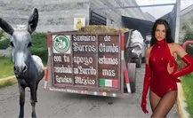 Rifan boleto de Dua Lipa para apoyar a los burros rescatados de Burrolandia en Edomex