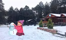 Tripadvisor recomienda estas cabañas de Durango para disfrutar el invierno al máximo