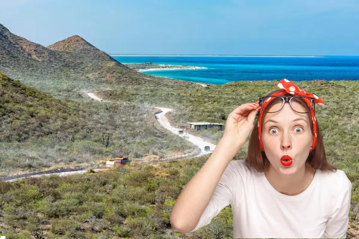 Este arrecife, formado por cuatro barreras coralinas, concentra más de 220 especies de peces y corales en una zona de alta biodiversidad. Foto: Visita Los Cabos | Foto: Biblioteca Canva