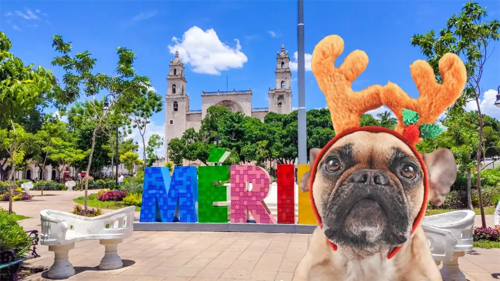 Ambiente caluroso y lluvias dispersas en Yucatán este martes 2 de diciembre