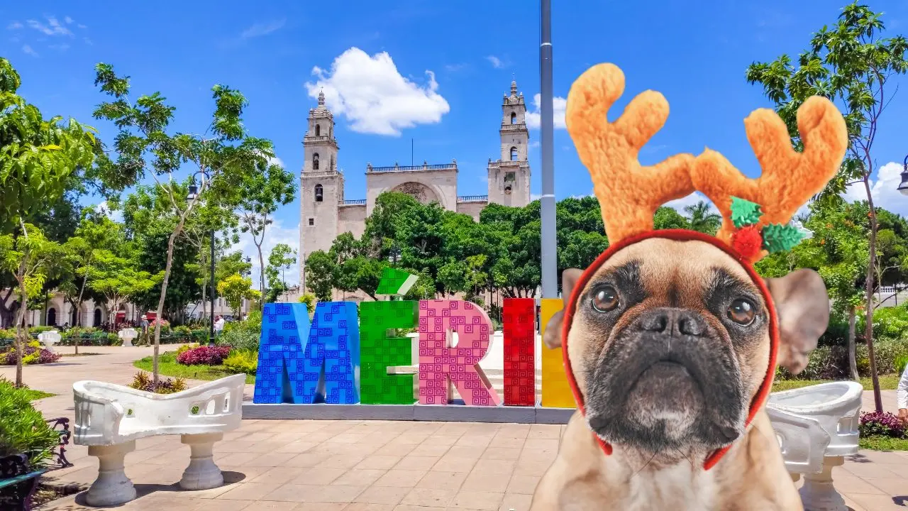 Al fondo, la Plaza Grande de Mérida que luce en un ambiente soleado.- Fuente Canva
