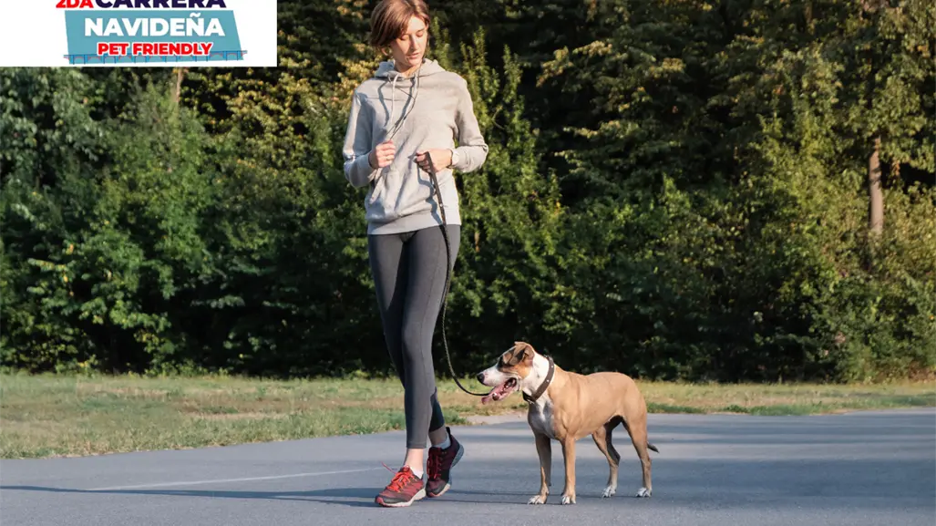 Carrera Navideña Pet Friendly en Querétaro vivirá su segunda edición, ¿cómo participar?