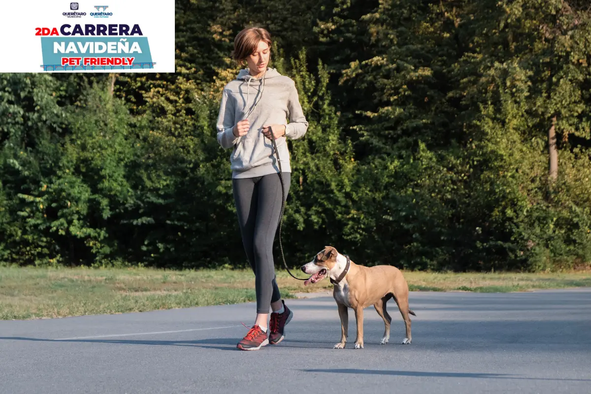 Carrera Navideña Pet Friendly en Querétaro vivirá su segunda edición, ¿cómo participar?. Foto: Canva | Municipio de Querétaro