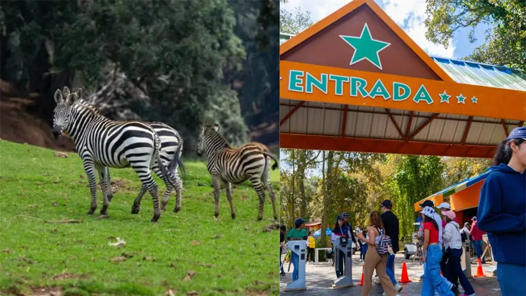 ¿Cómo llegar a Bioparque Estrella desde la CDMX? Lista de precios de entrada y de las atracciones