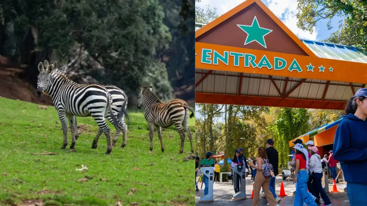 Bioparque Estrella |Instagram: @bioparqueestrellamexico