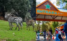 ¿Cómo llegar a Bioparque Estrella desde la CDMX? Lista de precios de entrada y de las atracciones