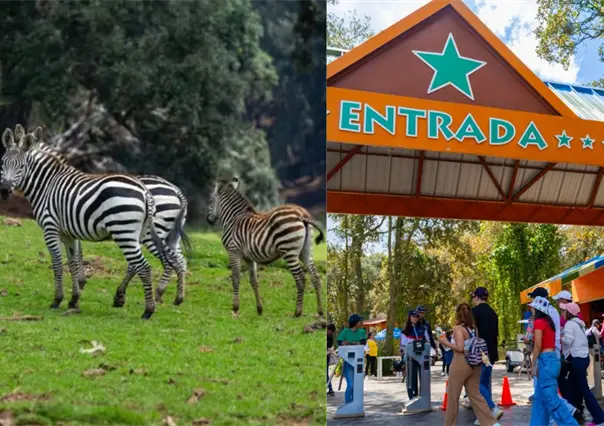 ¿Cómo llegar a Bioparque Estrella desde la CDMX? Lista de precios de entrada y de las atracciones