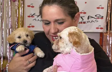 FOTOS | Cereza y Cerecito viven su primera Navidad tras explosión en Iztapalapa con un outfit muy navideño