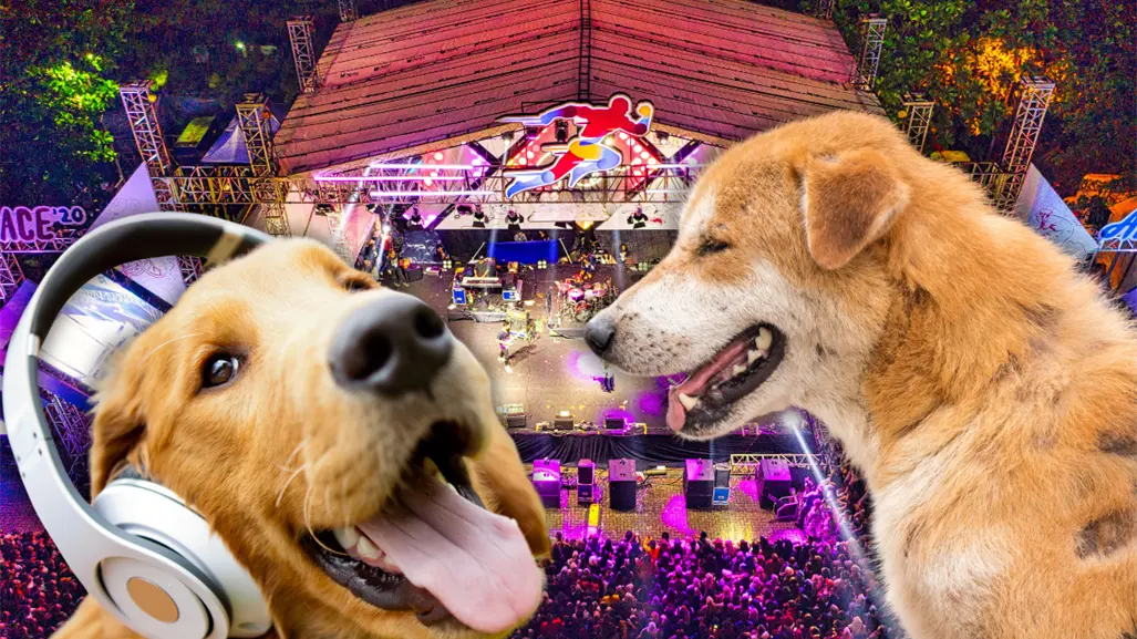 Croquetón Musical 2025: reggaetón, cumbia y toneladas de croquetas para salvar a lomitos callejeros