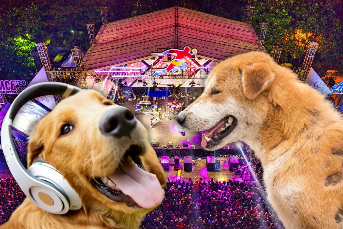 Croquetón Musical 2025, música con causa (Foto: Canva)