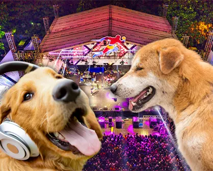 Croquetón Musical 2025: reggaetón, cumbia y toneladas de croquetas para salvar a lomitos callejeros