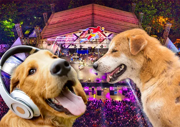 Croquetón Musical 2025: reggaetón, cumbia y toneladas de croquetas para salvar a lomitos callejeros