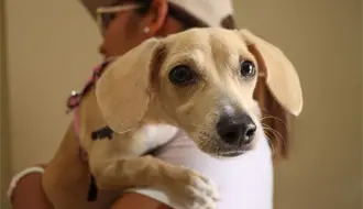 Zuazua presenta nuevas instalaciones del Centro de Bienestar Animal