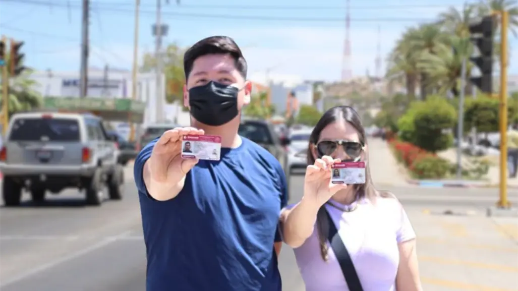 En BCS renuevas tu licencia en Navidad con 50% de descuento: tienes hasta esta fecha