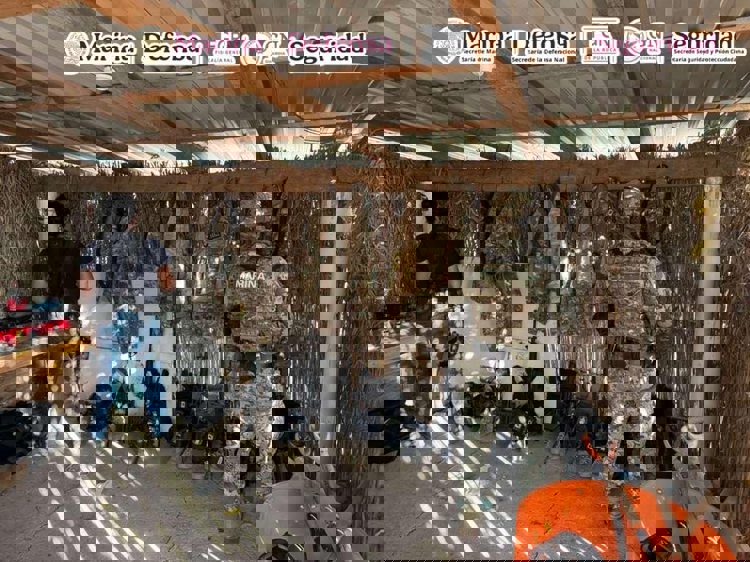 imagen-cuerpo imagen-cuerpo