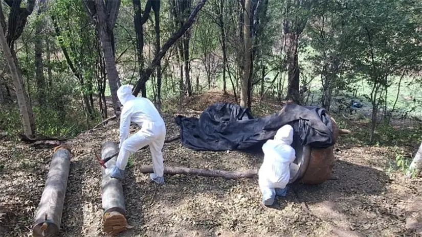 Laboratorios clandestinos en Sinaloa/Foto: Gabinete de Seguridad